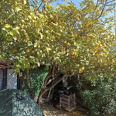 Sant'Agata Home بيت ضيافة